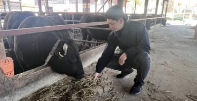 【大和フーズ】繁殖牧場に視察に行ってきました🎶