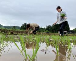 産地研修について【健康咲かせる手づくり惣菜咲菜】