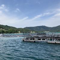 産地研修紹介⑤【健康咲かせる手づくり惣菜 咲菜】