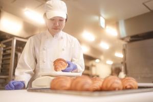 <ベイクルーズ>8月の会社説明会、予約受付開始です!