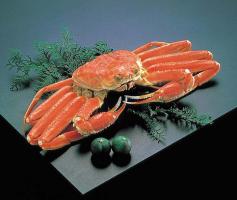 🦀6月22日は『かにの日』です