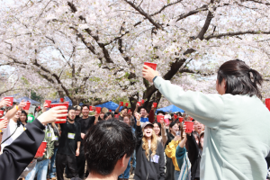 ファイブ🌸新歓お花見BBQ!