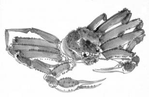 🦀26卒 会社説明会及び職場見学 随時行います