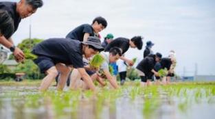 サステナブル活動：田植え体験をしました！