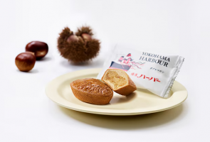 こんにちは!ありあけです!