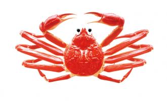 🦀26卒 会社説明会まだまだ行っています!🦀